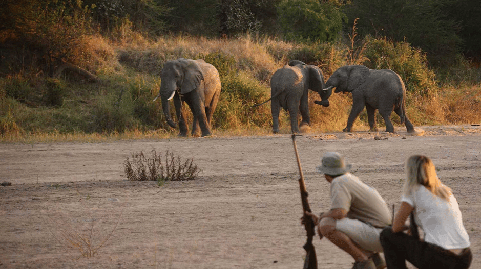 RuahaNationalPark